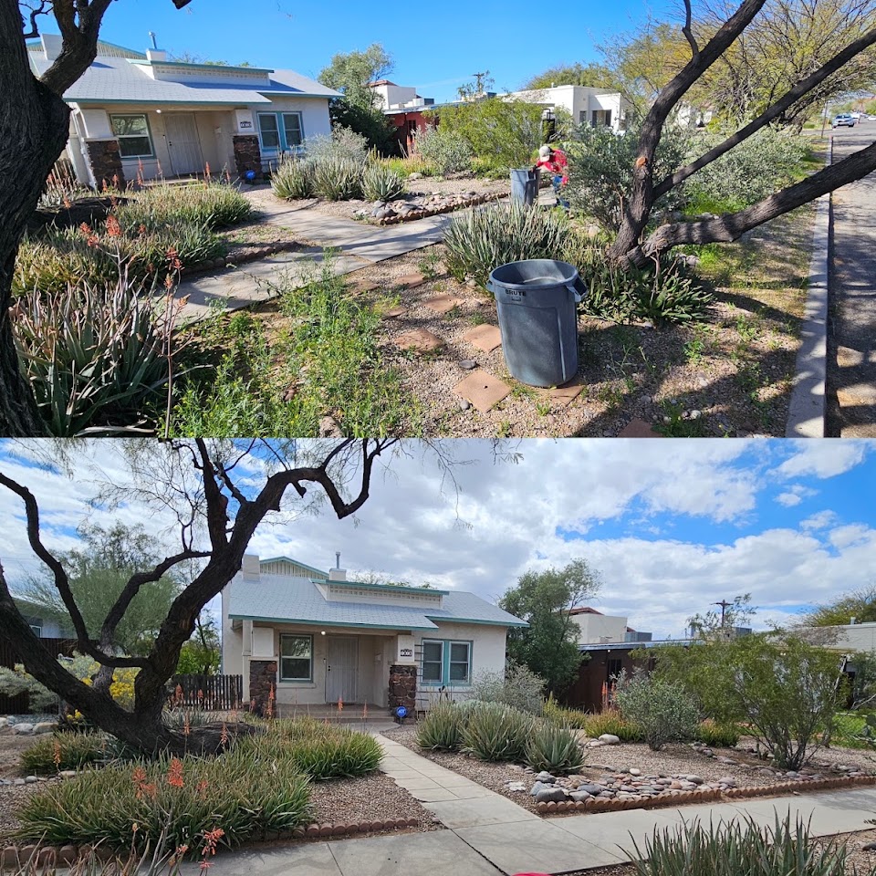 Augusta Lawn Care and Landscape Maintenance project
